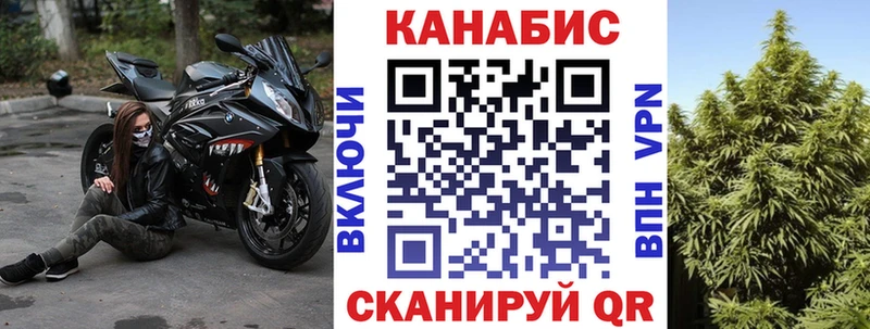 Шишки марихуана семена Геленджик